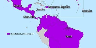 Mapa jamajky zika